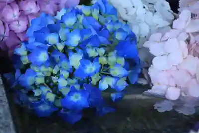 豊景神社の手水舎