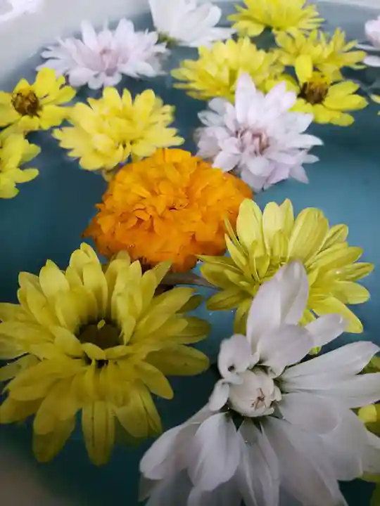 白金氷川神社(東京都)