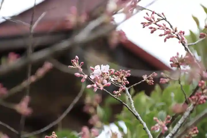 田村神社の自然