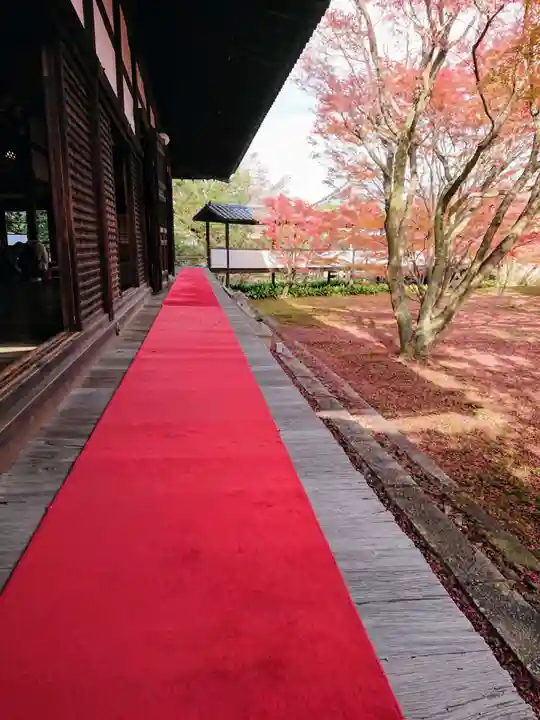 妙覺寺(妙覚寺)のその他建物