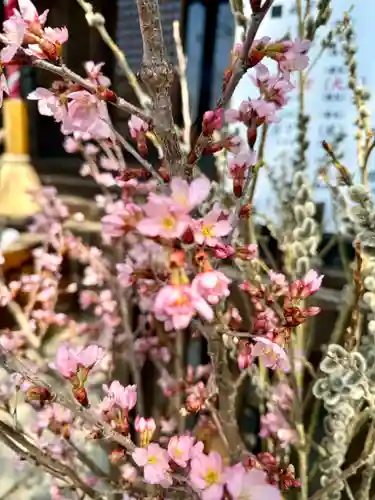 阿邪訶根神社の御朱印