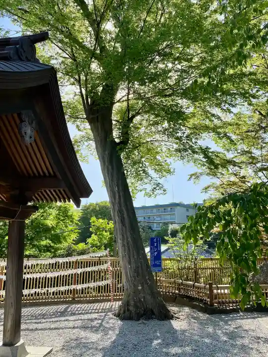 師岡熊野神社の自然