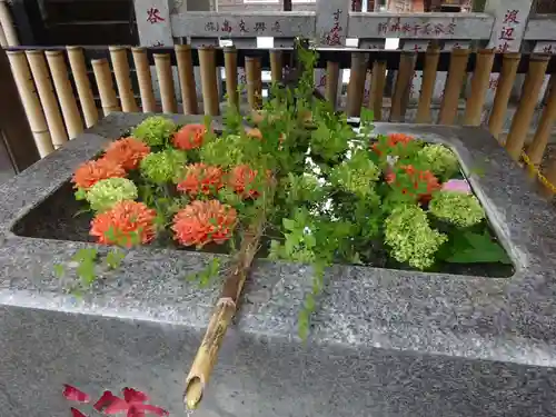 高円寺氷川神社の手水