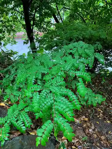 大山祇神社(福岡県)