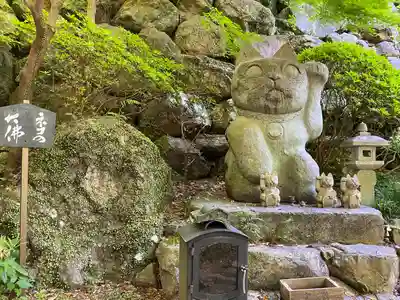 お松大権現(徳島県)