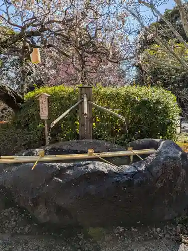 長谷寺の手水舎