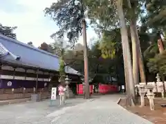 豊川閣　妙厳寺(愛知県)