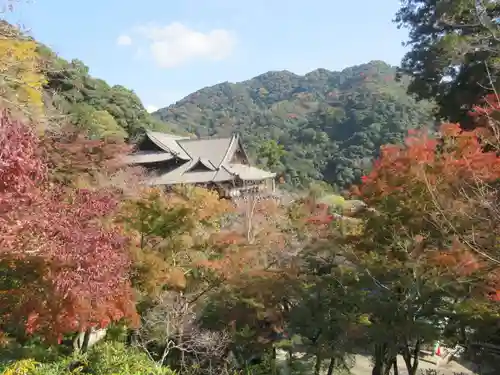 長谷寺(奈良県)