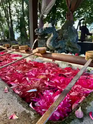 清洲山王宮　日吉神社の{uncategorized: "未分類", other: "その他", undefined: "問題あり", building: "その他建物", grave: "お墓", sacred_gate: "鳥居", guardian: "狛犬", statue: "像", buddha: "仏像", history: "歴史", nature: "自然", garden: "庭園", animal: "動物", pagoda: "塔", temizu: "手水舎", mountain_gate: "山門・神門", sanctuary: "本殿・本堂", subordinate: "末社・摂社", art: "芸術", scenery: "景色", jizo: "地蔵", ema: "絵馬", goshuin: "御朱印", omikuji: "おみくじ", items: "授与品その他", amulet: "お守り", goshuincho: "御朱印帳", eats: "食事", festival: "お祭り", votive_dance: "神楽", shichigosan: "七五三参", wedding: "結婚式", experience: "体験その他", initially: "初詣", around: "周辺", anti_infection: "感染症対策"}