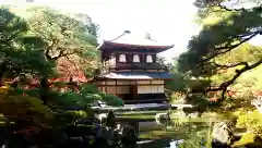 慈照寺（慈照禅寺・銀閣寺）の建物その他