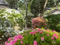 美奈宜神社の自然