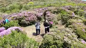 信行寺(福岡県)(2021年06月07日(月) 08時04分04秒投稿)