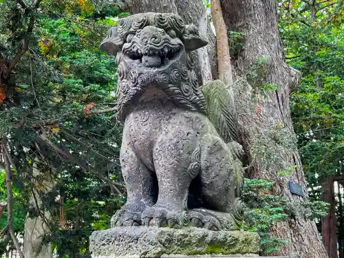 深川神社の狛犬