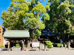 若宮八幡社の手水