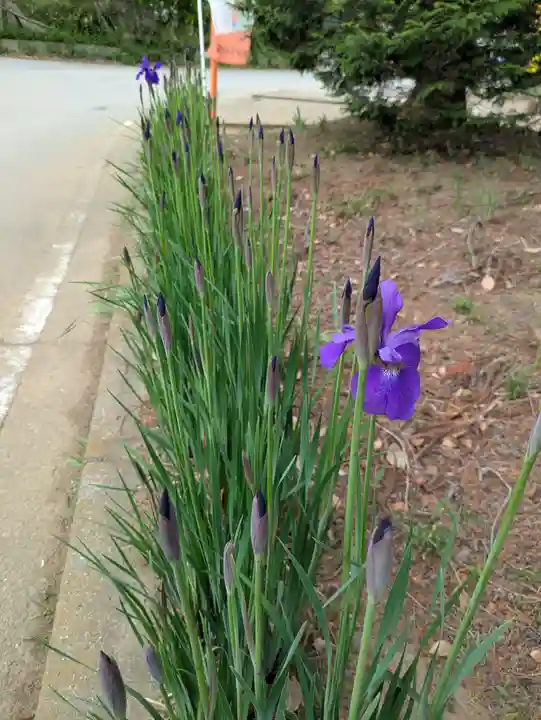 伏木香取神社(茨城県)