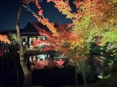 高台寺（高台寿聖禅寺・高臺寺）(京都府)