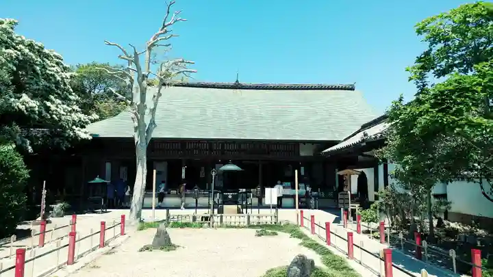 大御堂寺(野間大坊)(愛知県)