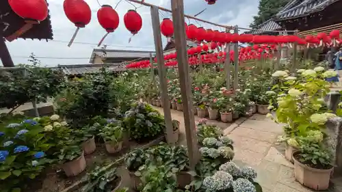 おふさ観音（観音寺）(奈良県)
