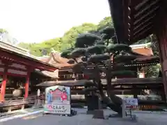 住吉神社(山口県)