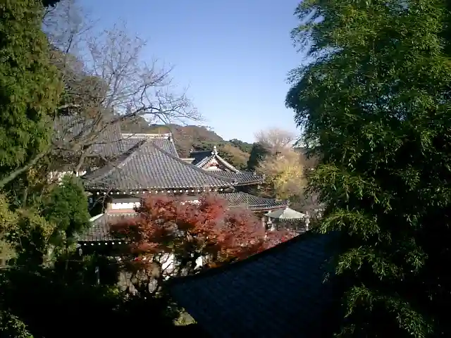 長谷寺のその他建物