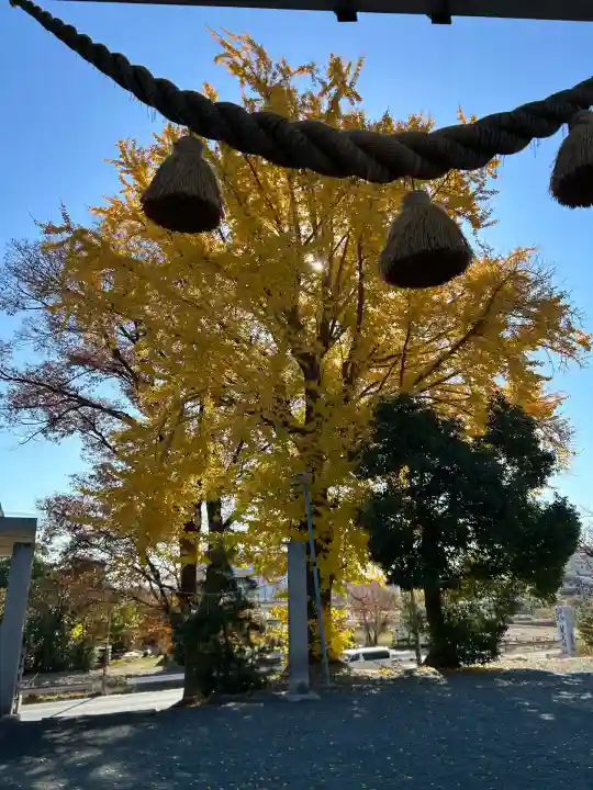 菟足神社(愛知県)