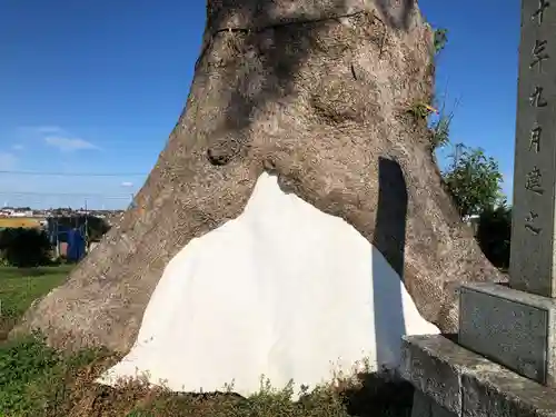 大木神社跡地の自然