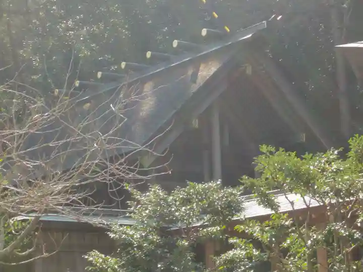 安房神社の本殿・本堂
