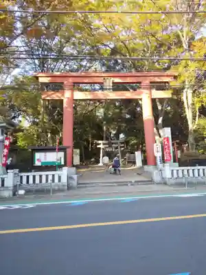 世田谷八幡宮の鳥居