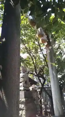 元三島神社のその他建物