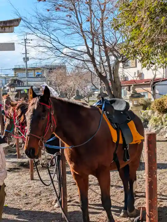賀茂神社の{uncategorized: "未分類", other: "その他", undefined: "問題あり", building: "その他建物", grave: "お墓", sacred_gate: "鳥居", guardian: "狛犬", statue: "像", buddha: "仏像", history: "歴史", nature: "自然", garden: "庭園", animal: "動物", pagoda: "塔", temizu: "手水舎", mountain_gate: "山門・神門", sanctuary: "本殿・本堂", subordinate: "末社・摂社", art: "芸術", scenery: "景色", jizo: "地蔵", ema: "絵馬", goshuin: "御朱印", omikuji: "おみくじ", items: "授与品その他", amulet: "お守り", goshuincho: "御朱印帳", eats: "食事", festival: "お祭り", votive_dance: "神楽", shichigosan: "七五三参", wedding: "結婚式", experience: "体験その他", initially: "初詣", around: "周辺", anti_infection: "感染症対策"}