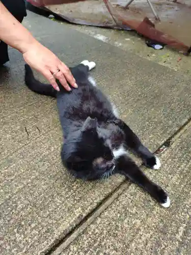 岡部春日神社～👹鬼門よけの🌺花咲く🌺やしろ～(福島県)