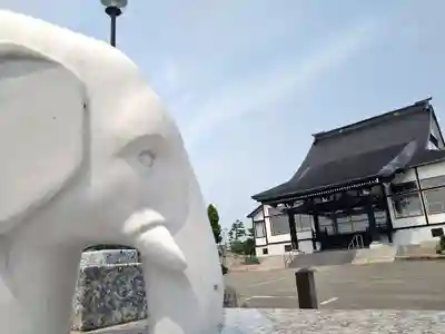 雨竜　専福寺(北海道)