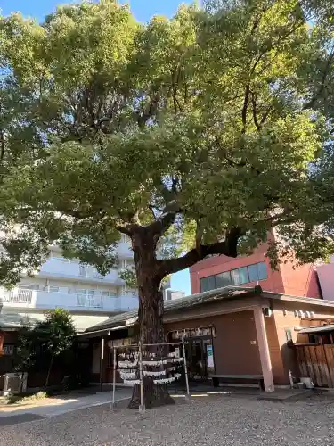 神明社（赤塚神明社）(愛知県)