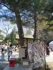 櫻木神社の自然