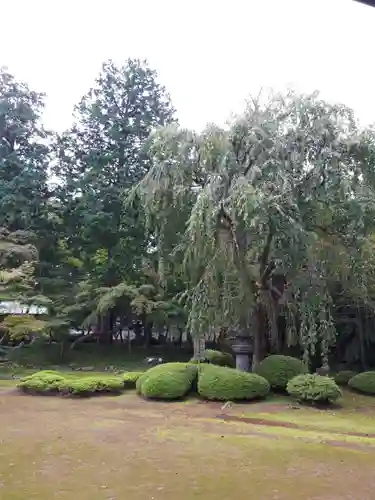 喜多院の庭園