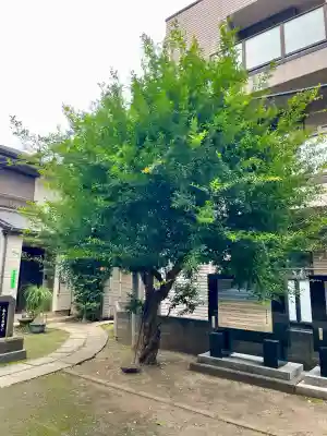 成田山不動大教会(東京都)