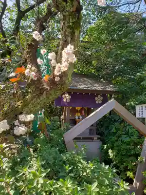 阿佐ヶ谷神明宮(東京都)