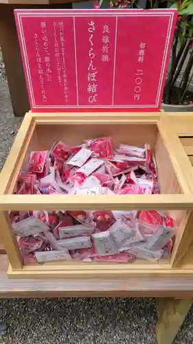 赤坂氷川神社(東京都)