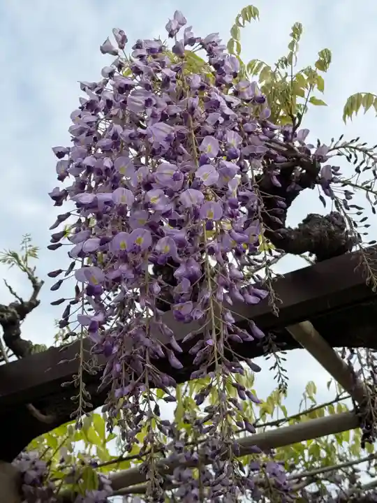 西方山極楽寺(岐阜県)