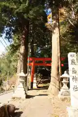 厳島神社の自然