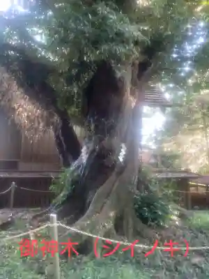 五社神社(神奈川県)