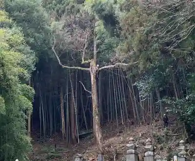 通安寺(福井県)