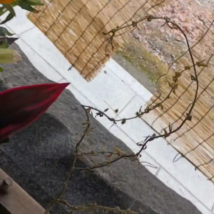 彌彦神社 (伊夜日子神社)の手水舎