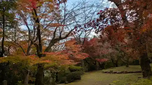 勝持寺（花の寺）(京都府)