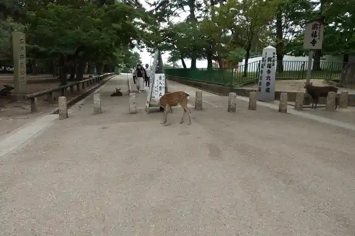 春日大社のその他建物