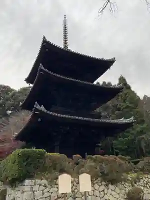 園城寺（三井寺）(滋賀県)
