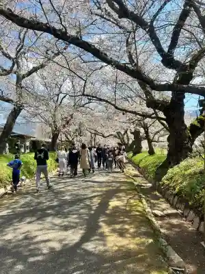 徳佐八幡宮の{uncategorized: "未分類", other: "その他", undefined: "問題あり", building: "その他建物", grave: "お墓", sacred_gate: "鳥居", guardian: "狛犬", statue: "像", buddha: "仏像", history: "歴史", nature: "自然", garden: "庭園", animal: "動物", pagoda: "塔", temizu: "手水舎", mountain_gate: "山門・神門", sanctuary: "本殿・本堂", subordinate: "末社・摂社", art: "芸術", scenery: "景色", jizo: "地蔵", ema: "絵馬", goshuin: "御朱印", omikuji: "おみくじ", items: "授与品その他", amulet: "お守り", goshuincho: "御朱印帳", eats: "食事", festival: "お祭り", votive_dance: "神楽", shichigosan: "七五三参", wedding: "結婚式", experience: "体験その他", initially: "初詣", around: "周辺", anti_infection: "感染症対策"}