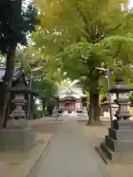 柴又八幡神社の{uncategorized: "未分類", other: "その他", undefined: "問題あり", building: "その他建物", grave: "お墓", sacred_gate: "鳥居", guardian: "狛犬", statue: "像", buddha: "仏像", history: "歴史", nature: "自然", garden: "庭園", animal: "動物", pagoda: "塔", temizu: "手水舎", mountain_gate: "山門・神門", sanctuary: "本殿・本堂", subordinate: "末社・摂社", art: "芸術", scenery: "景色", jizo: "地蔵", ema: "絵馬", goshuin: "御朱印", omikuji: "おみくじ", items: "授与品その他", amulet: "お守り", goshuincho: "御朱印帳", eats: "食事", festival: "お祭り", votive_dance: "神楽", shichigosan: "七五三参", wedding: "結婚式", experience: "体験その他", initially: "初詣", around: "周辺", anti_infection: "感染症対策"}
