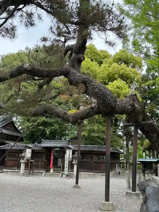 立木神社の{uncategorized: "未分類", other: "その他", undefined: "問題あり", building: "その他建物", grave: "お墓", sacred_gate: "鳥居", guardian: "狛犬", statue: "像", buddha: "仏像", history: "歴史", nature: "自然", garden: "庭園", animal: "動物", pagoda: "塔", temizu: "手水舎", mountain_gate: "山門・神門", sanctuary: "本殿・本堂", subordinate: "末社・摂社", art: "芸術", scenery: "景色", jizo: "地蔵", ema: "絵馬", goshuin: "御朱印", omikuji: "おみくじ", items: "授与品その他", amulet: "お守り", goshuincho: "御朱印帳", eats: "食事", festival: "お祭り", votive_dance: "神楽", shichigosan: "七五三参", wedding: "結婚式", experience: "体験その他", initially: "初詣", around: "周辺", anti_infection: "感染症対策"}