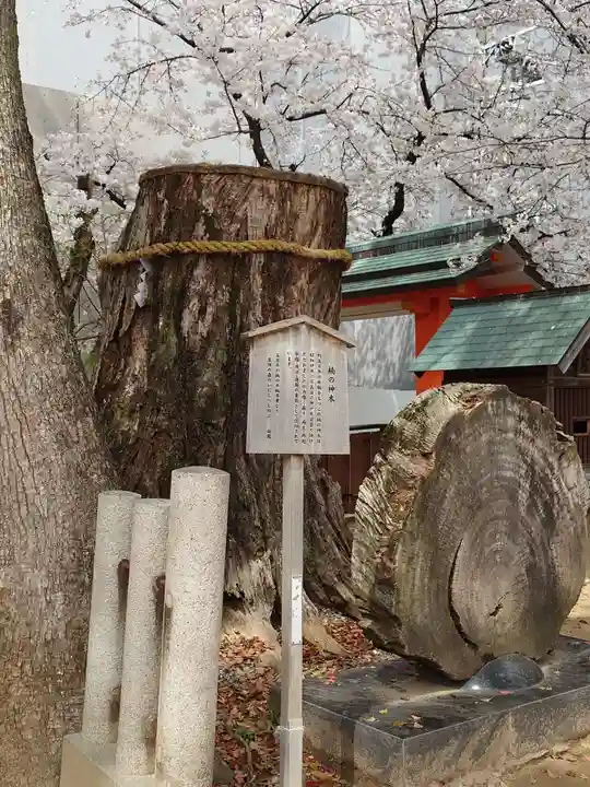 生田神社(兵庫県)